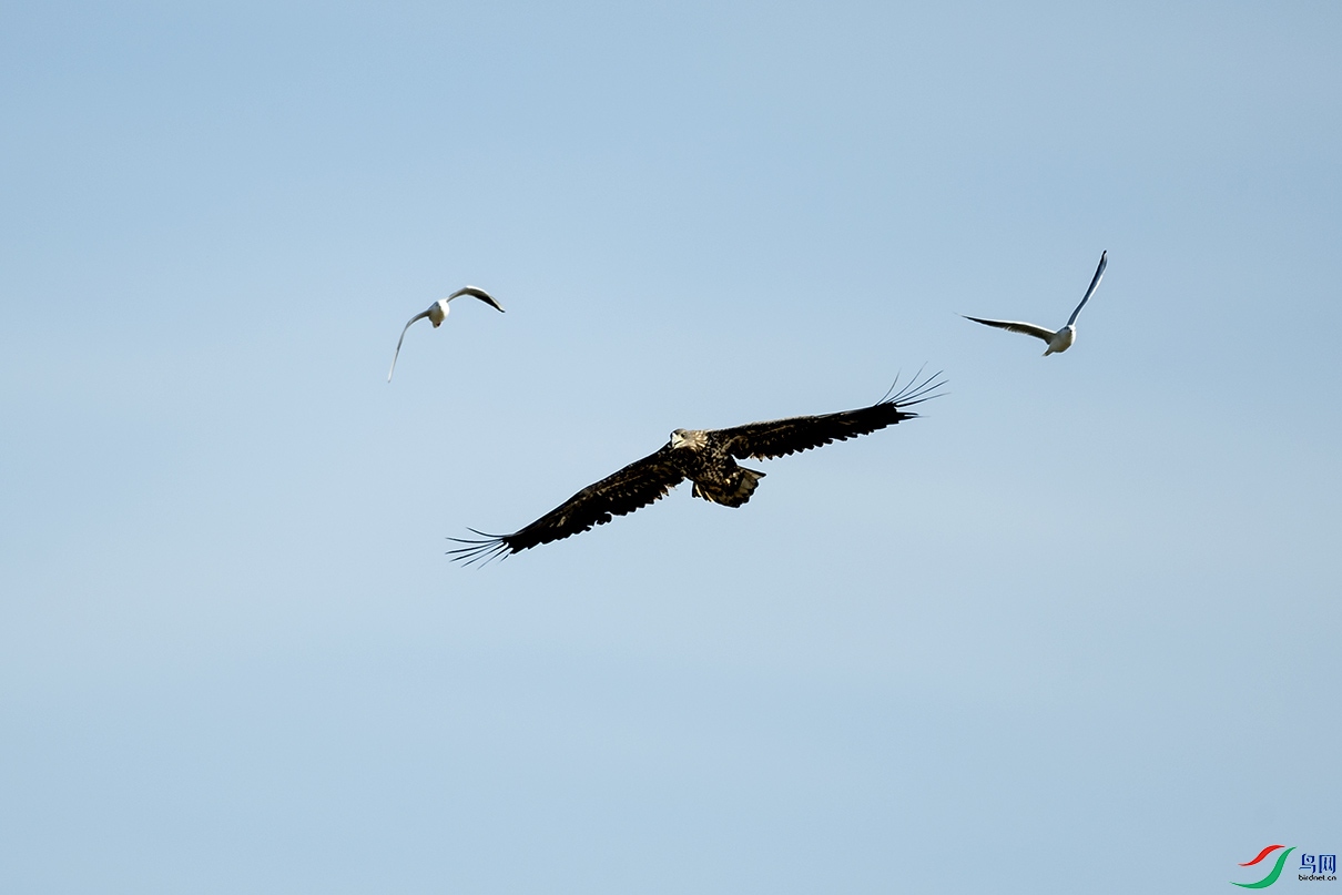 _DSC4800.jpg