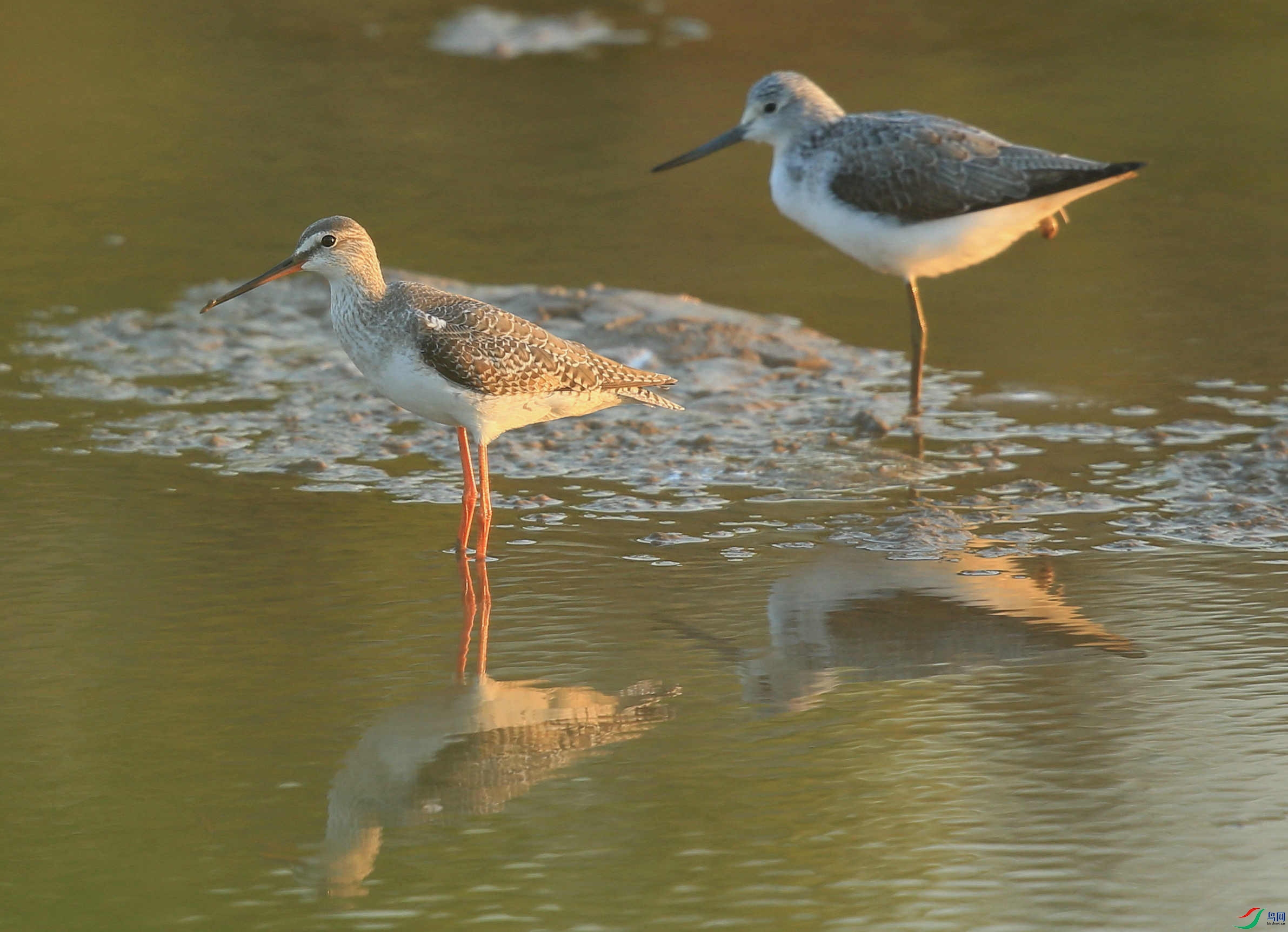 AD1P0294 - ����.JPG