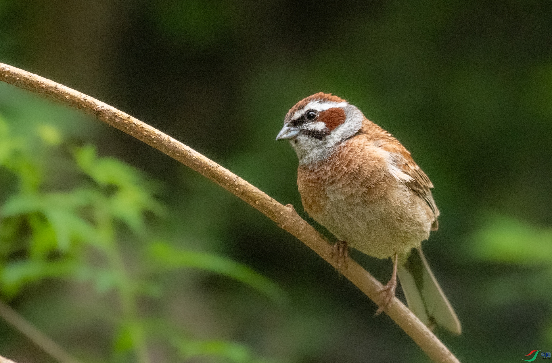 DSC_6037.jpg