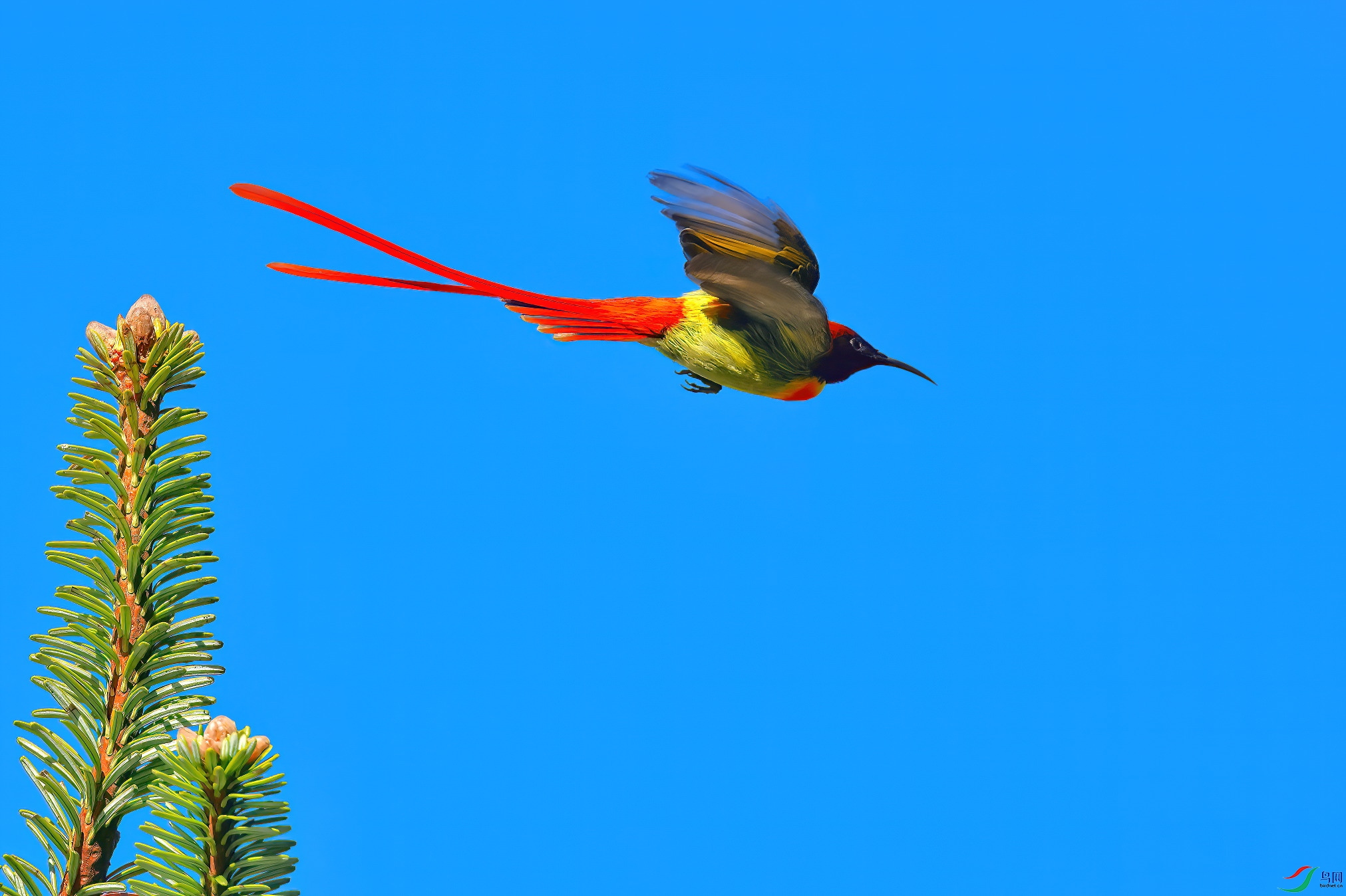 ��β̫����