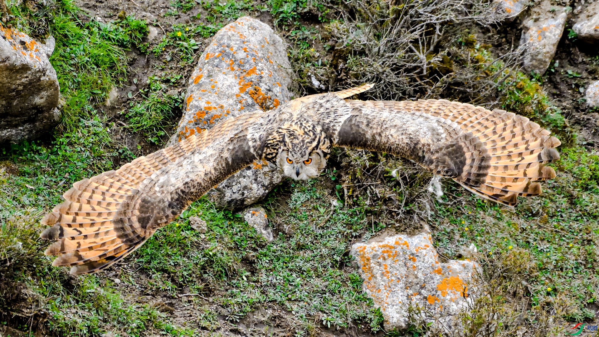_DSC5785_����.jpg