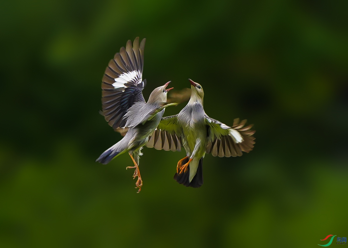 DSC04891 ����.jpg