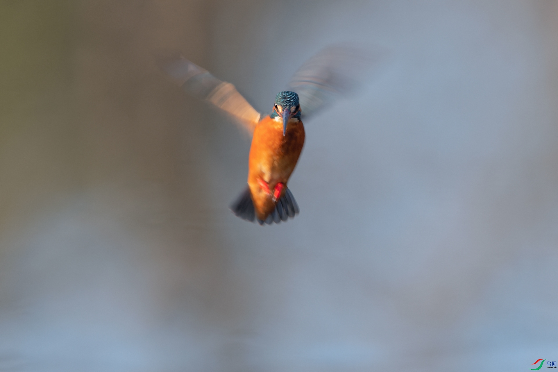 3DSC_5495_DxOa.jpg