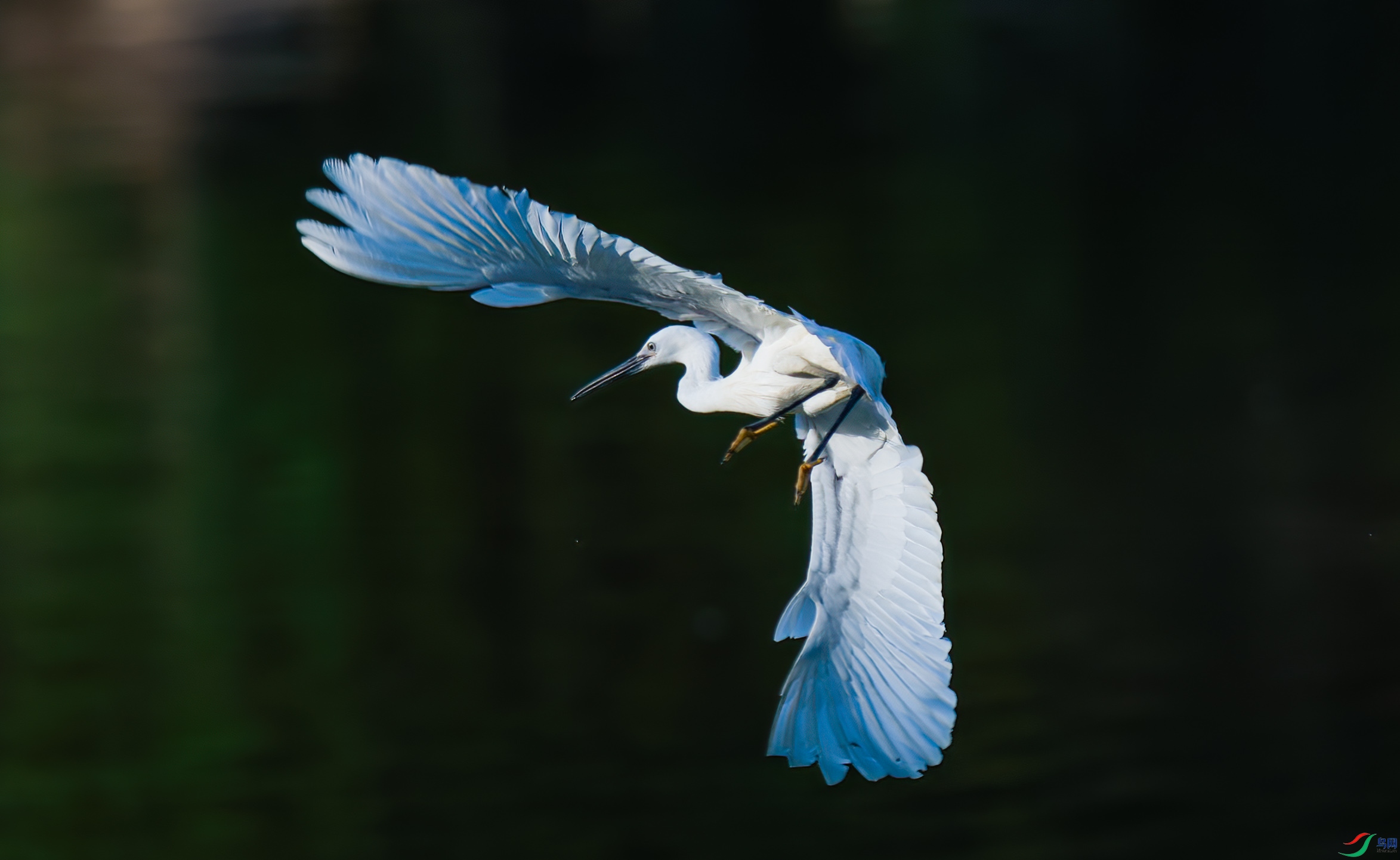 _DSC0765-NEF_DxO_DeepPRIME-DeNoiseAI-standard-2.jpg