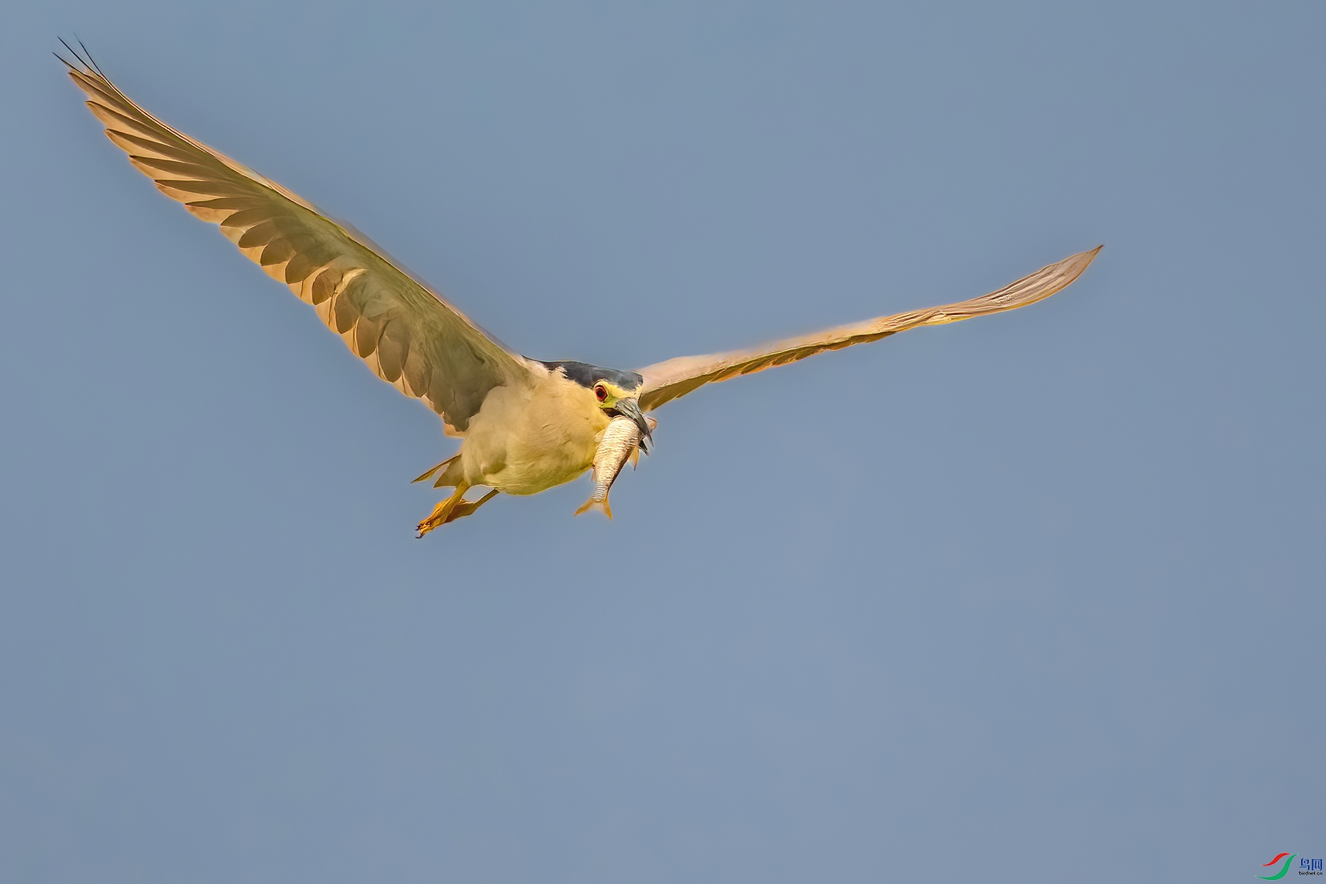 _MG_4551.jpg