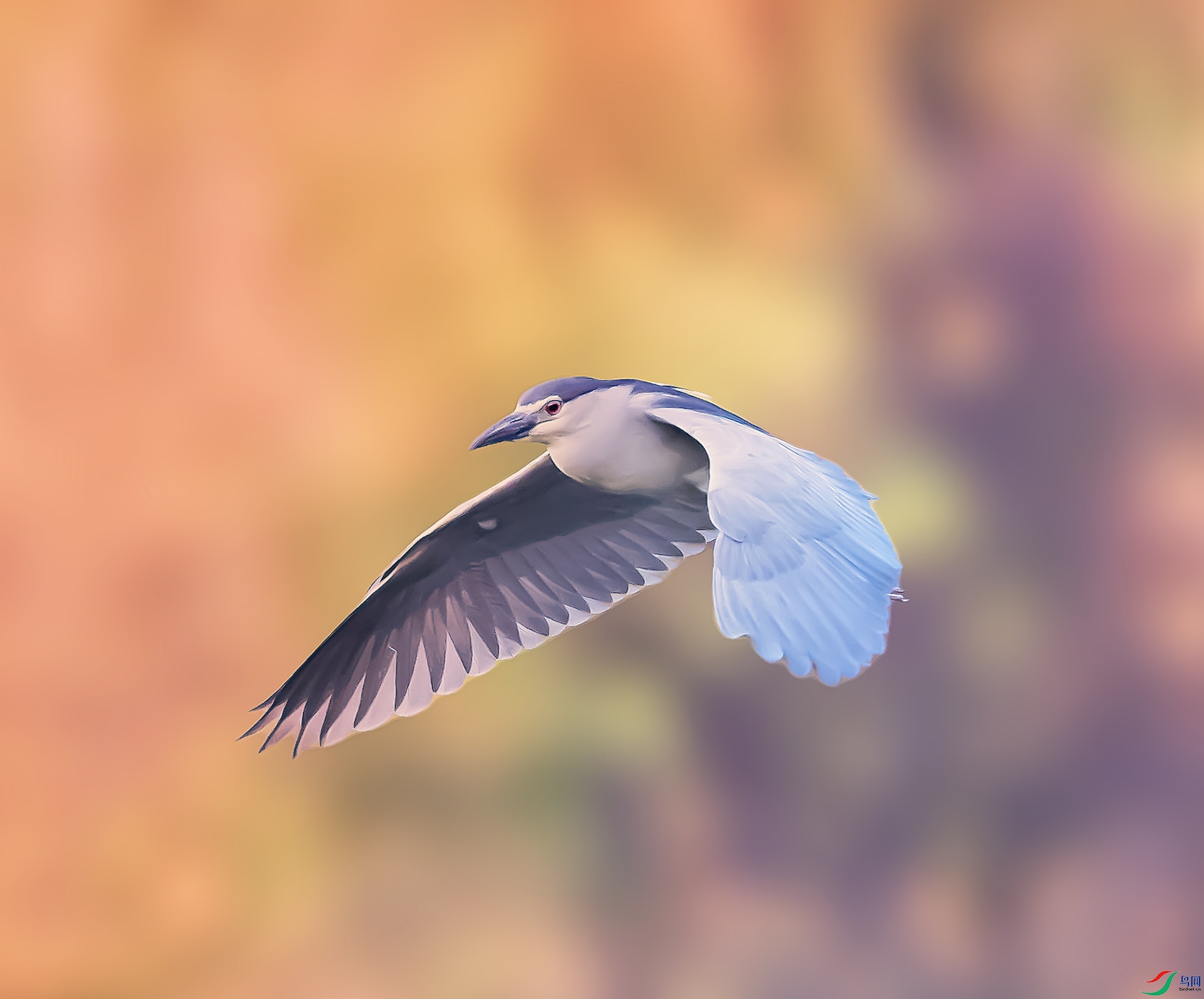 019A8959 ����.jpg