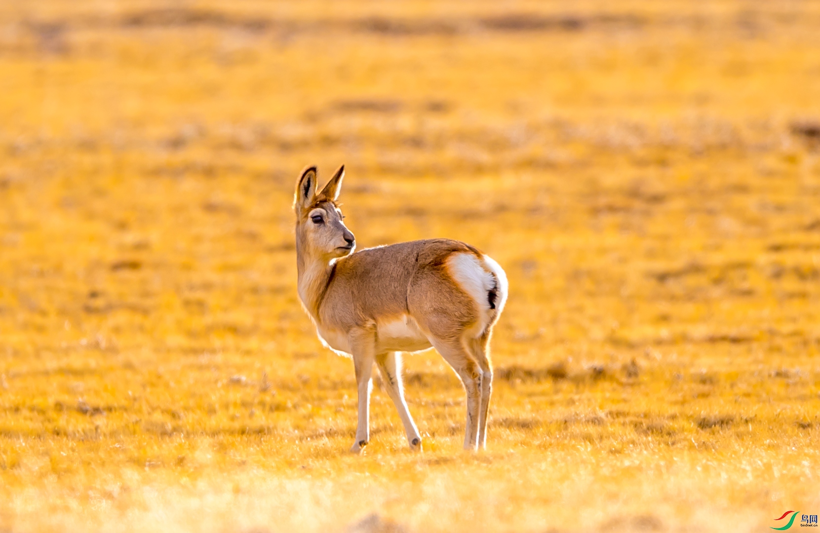 DSC_0859�ٻ���.jpg