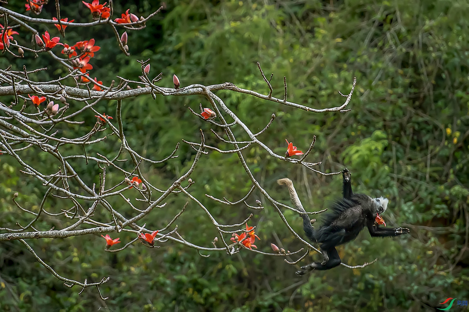 ľ�����ϵľ���