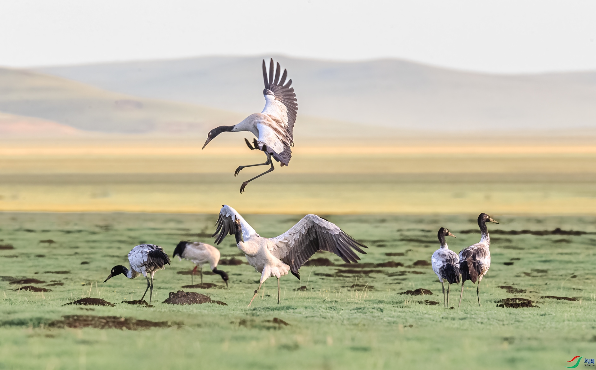 _J1R0429-2.jpg
