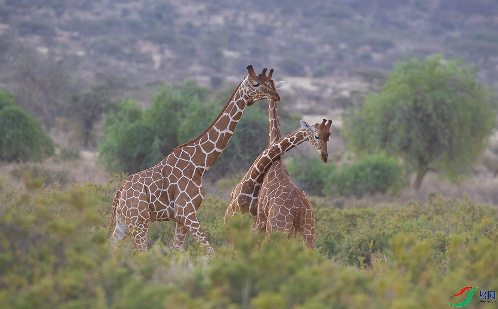 ����¹ (2).jpg