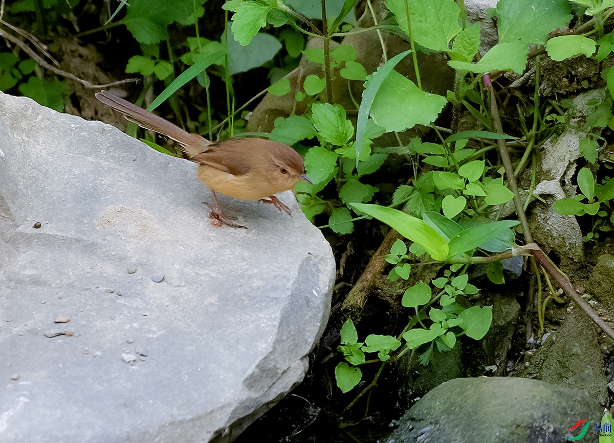 DSC_3942.JPG