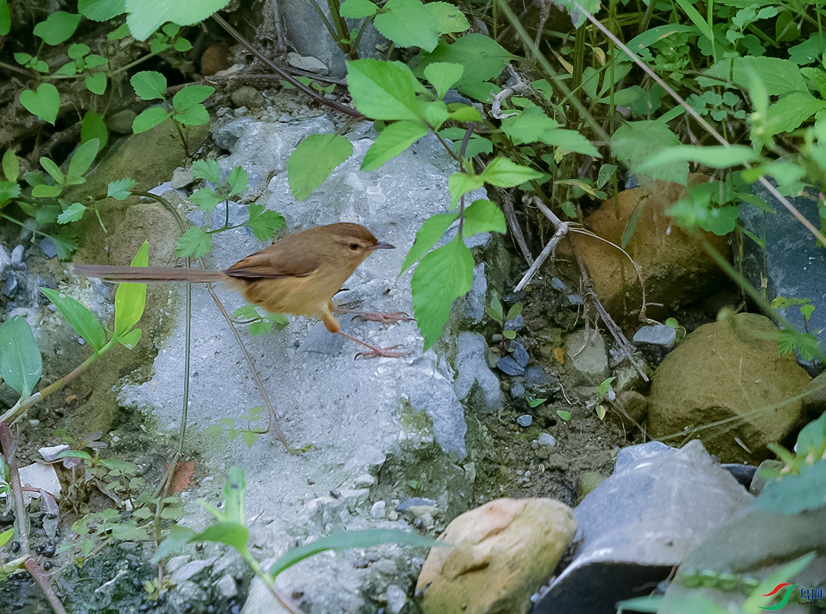 DSC_3888.JPG