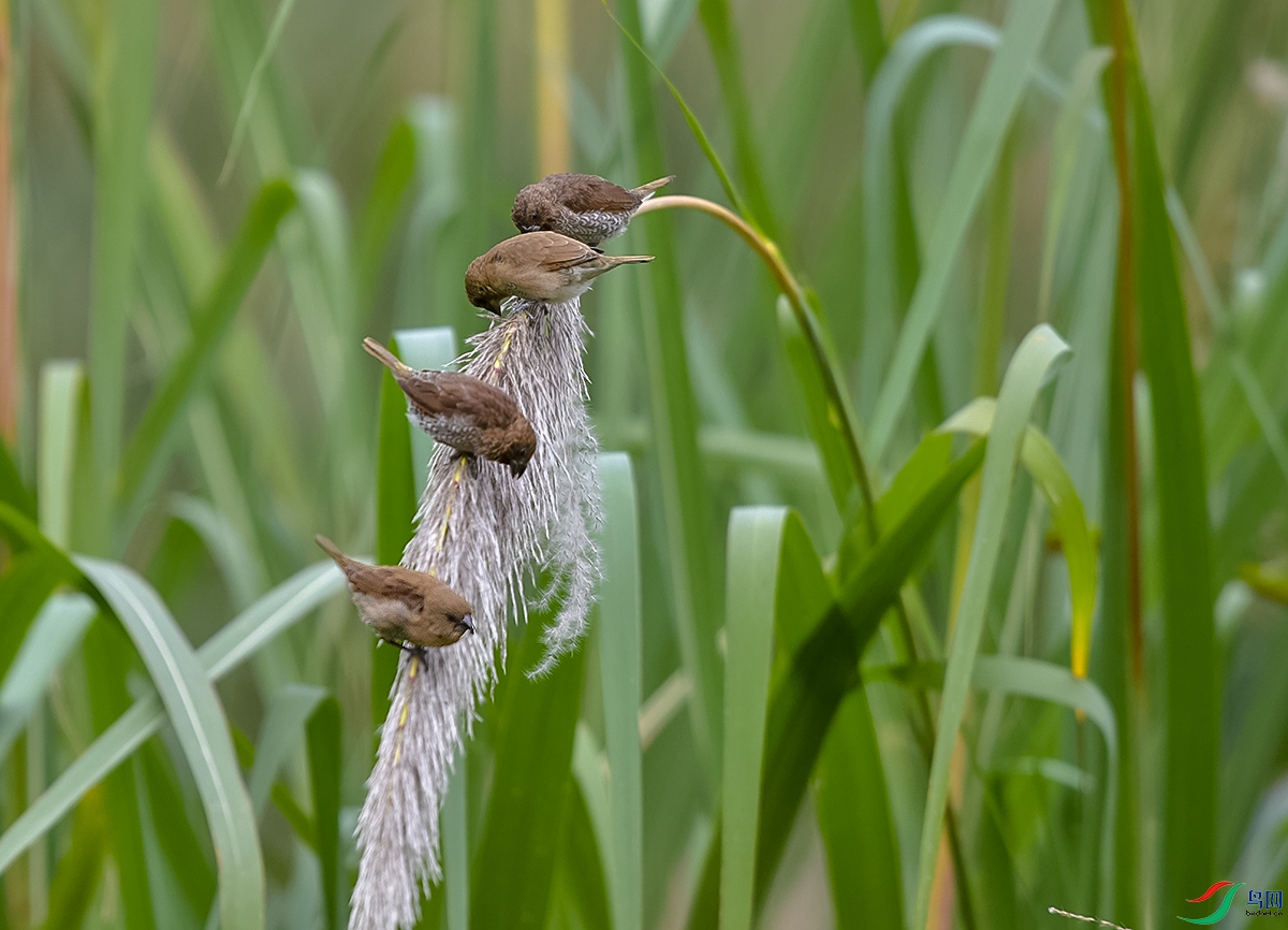 DSC_3951.JPG