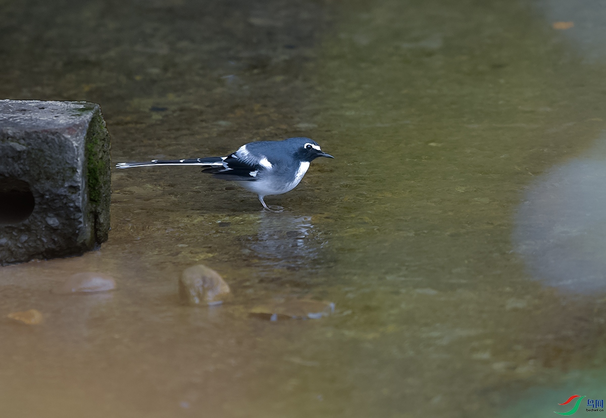 DSC_4682.JPG