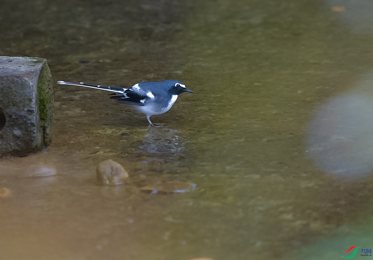 DSC_4680.JPG