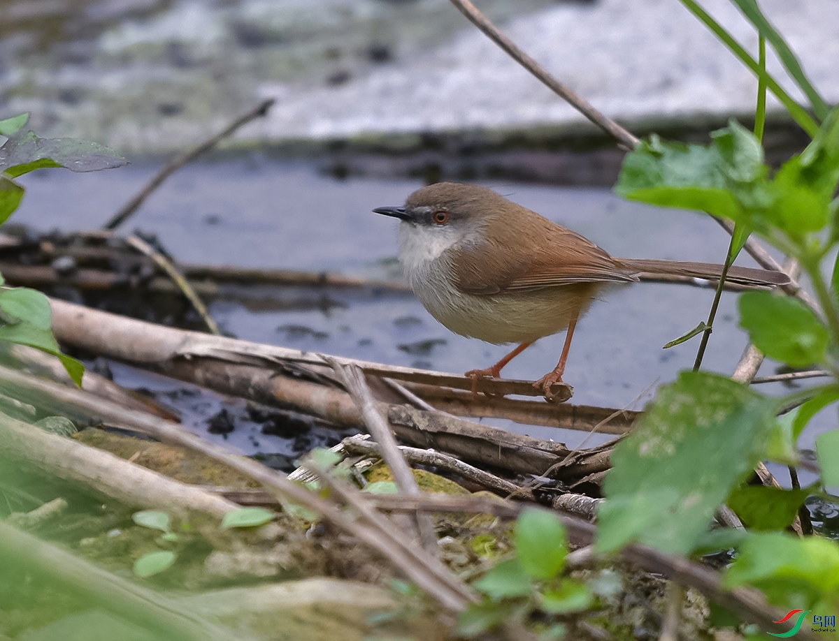 DSC_5129.JPG