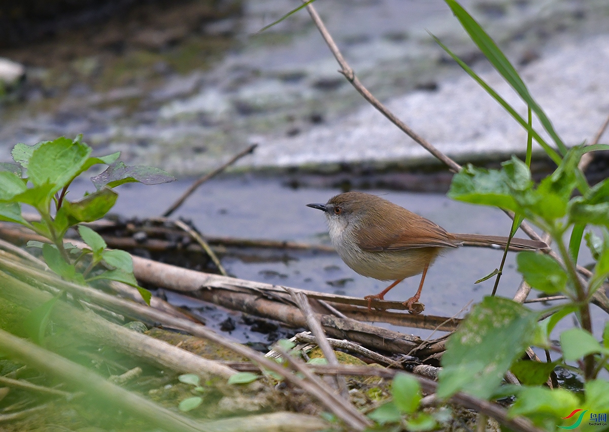 DSC_5128.JPG