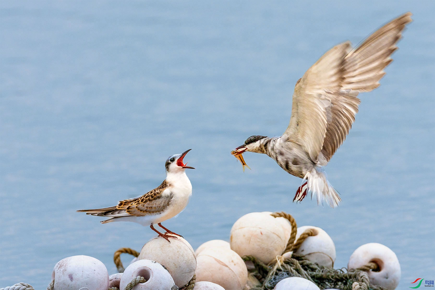 281V8682 ���� 4.jpg