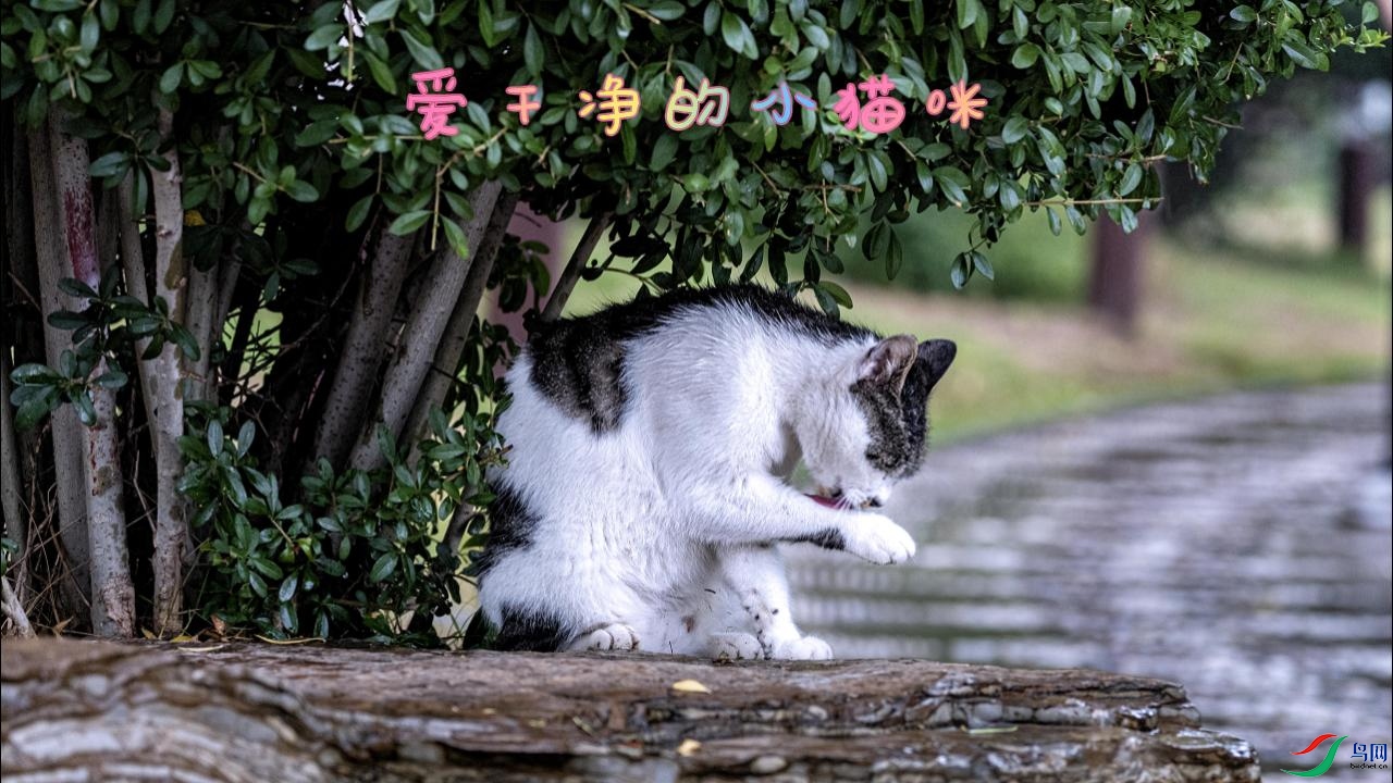 6��16�� (1)-����.jpg