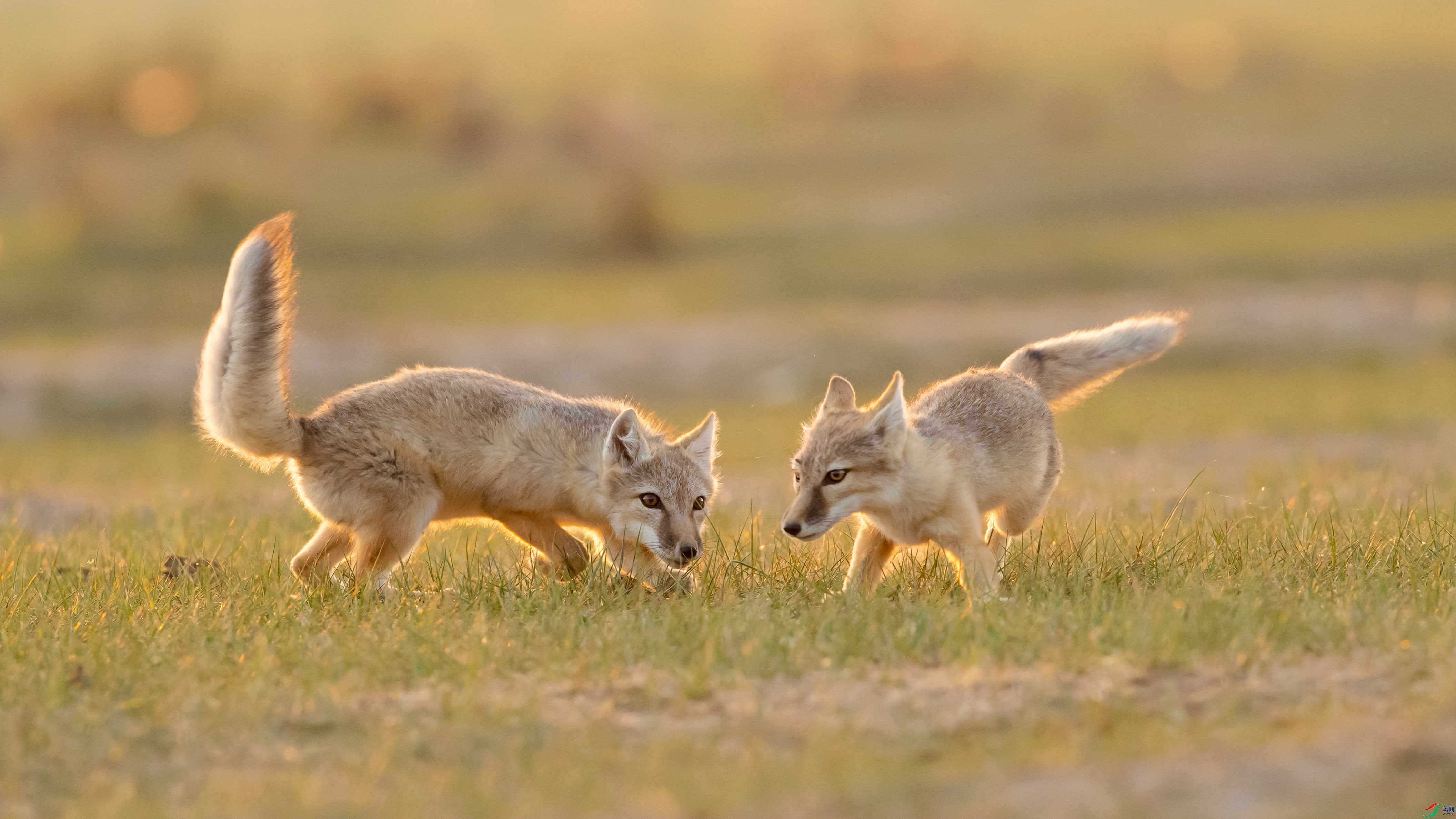 AN1I3095 ����.jpg