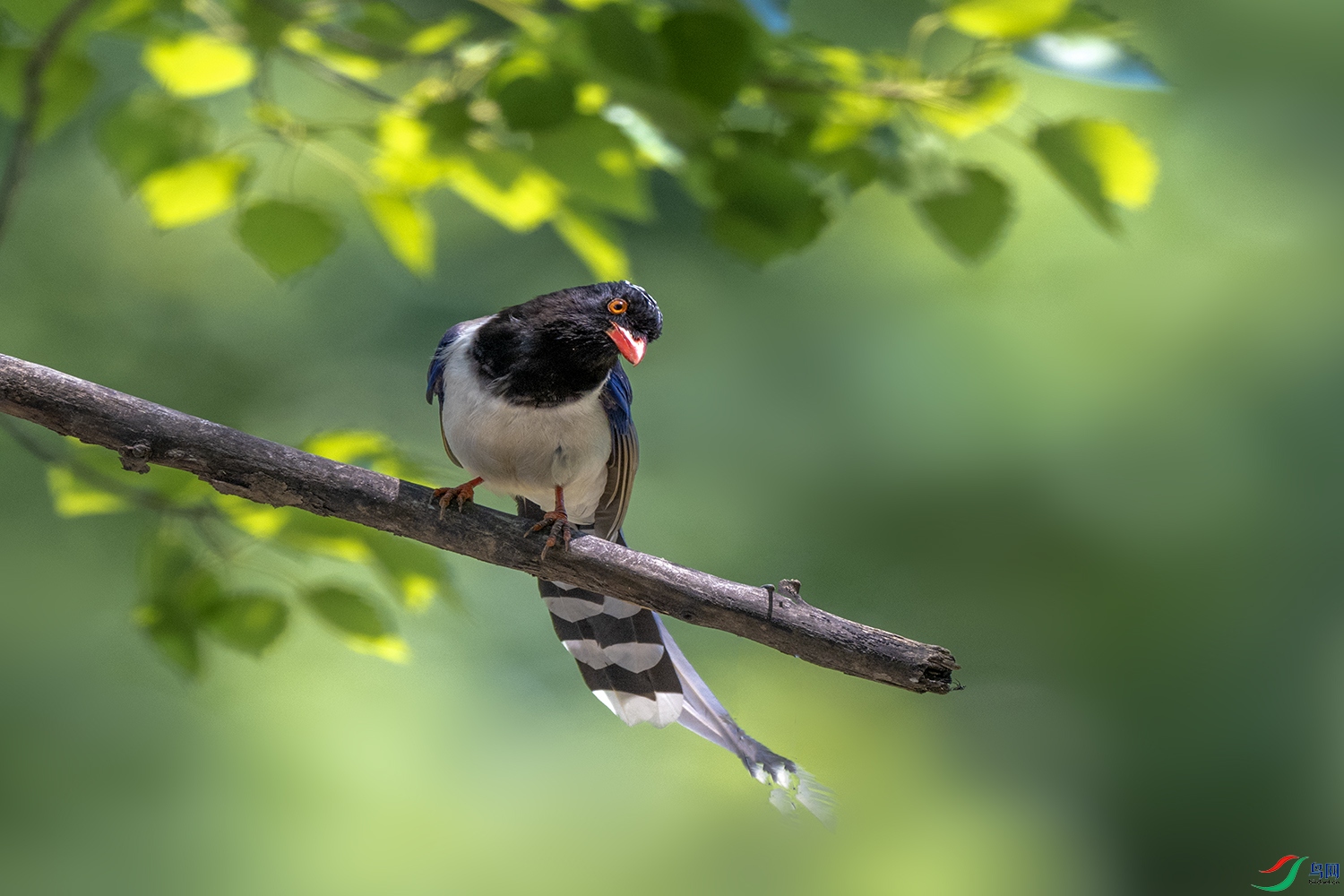 DSC_3509.jpg