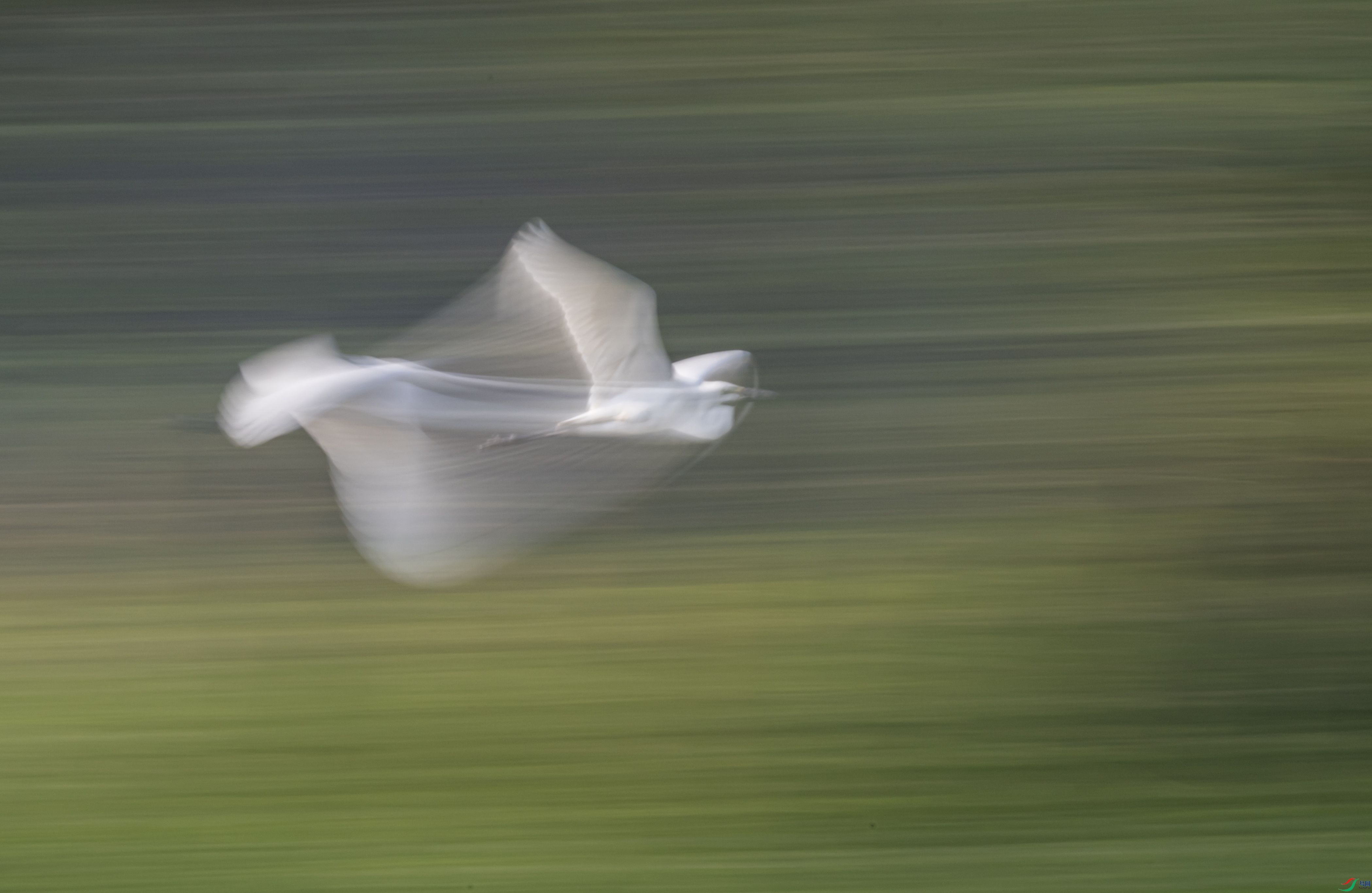 DSC_0352.jpg