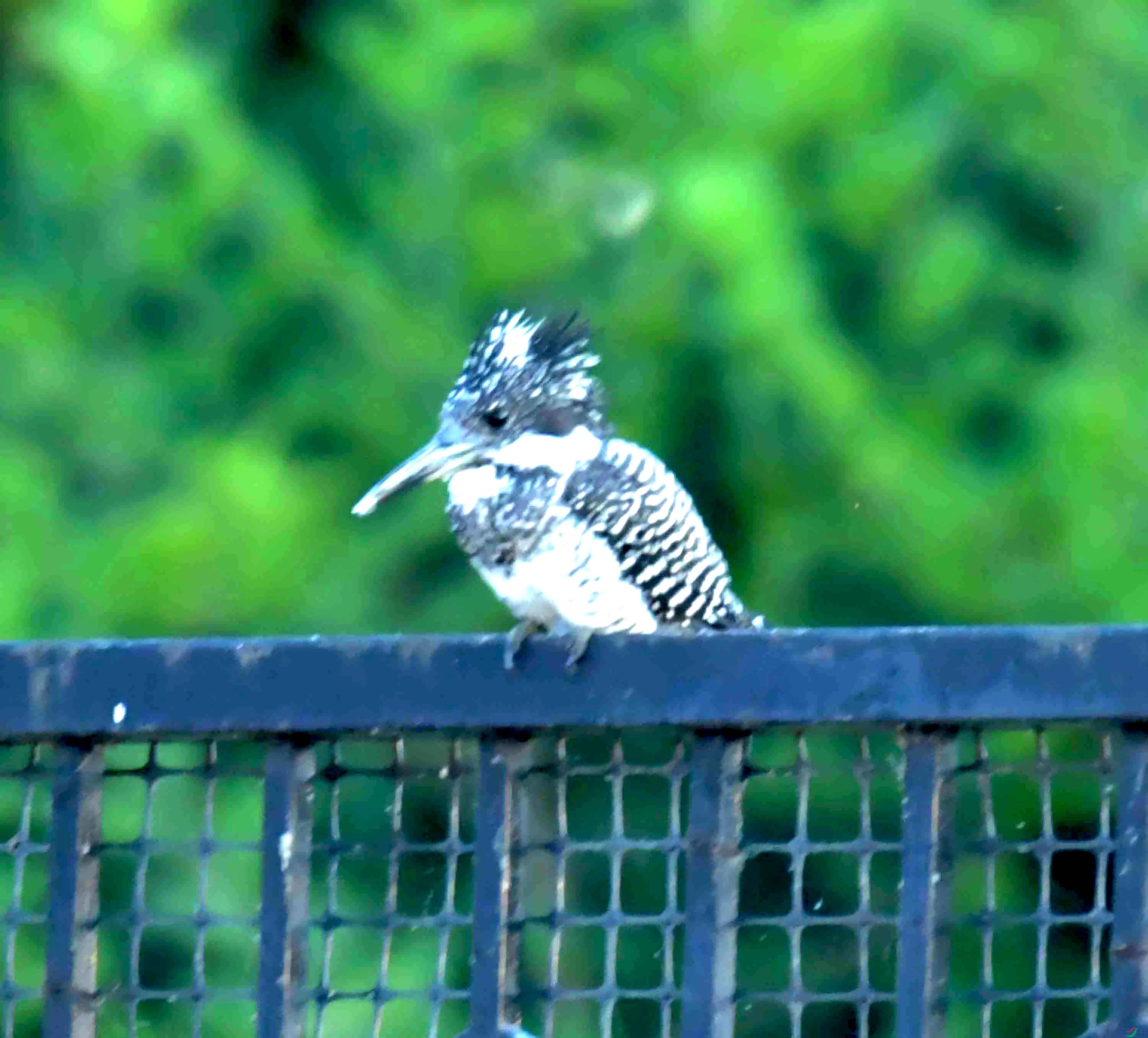 DSC_2267.JPG