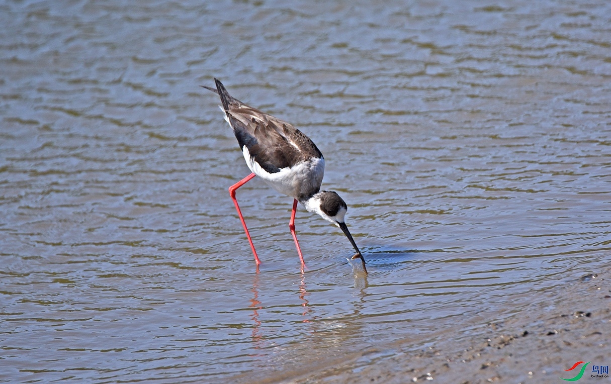 DSC_3823f.jpg
