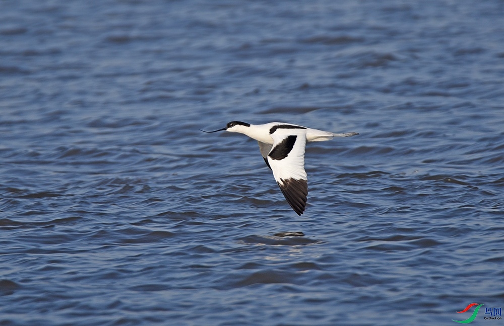 DSC_6388.jpg