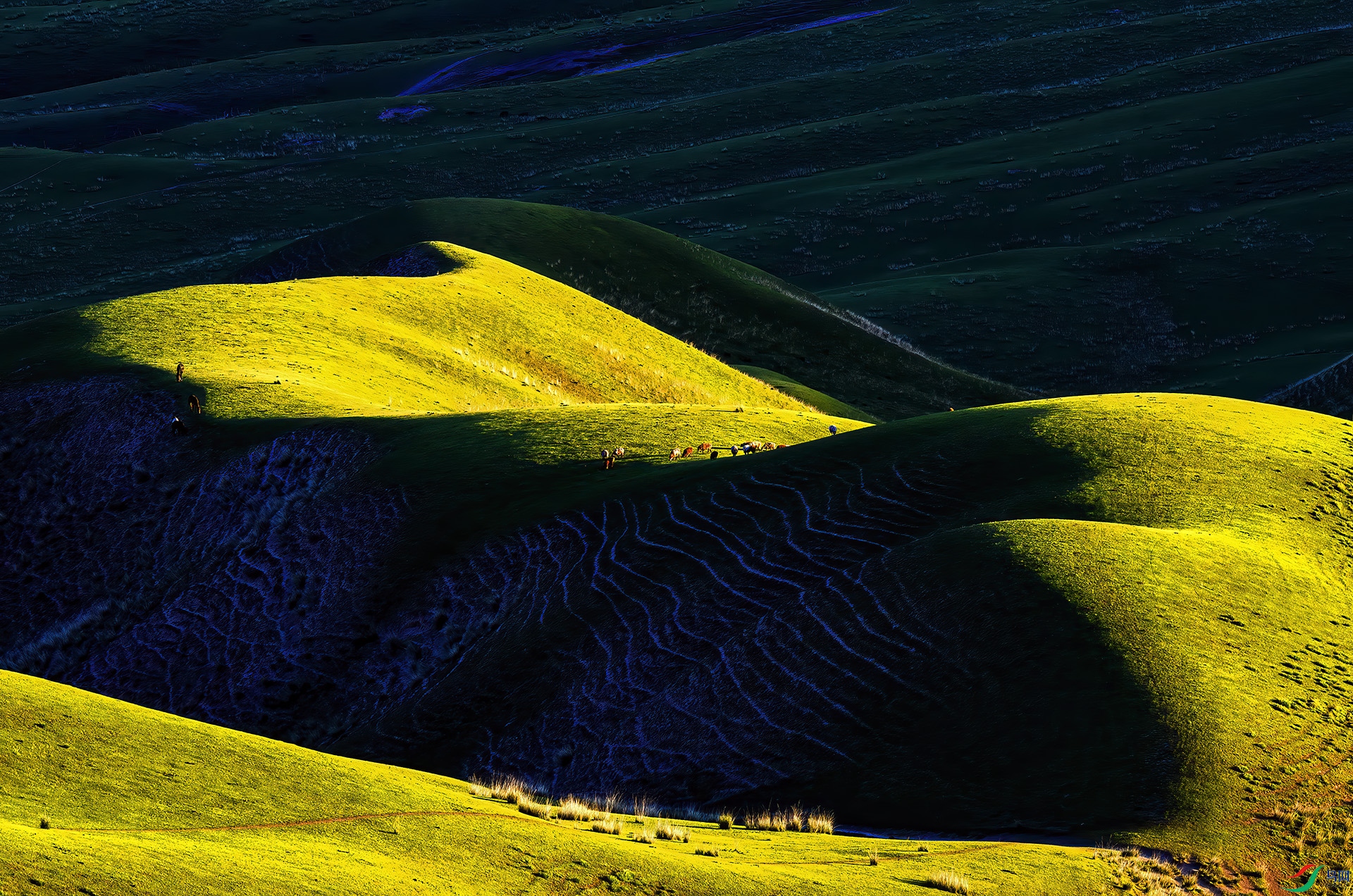 _DSC1071 - ��������ԭ.jpg