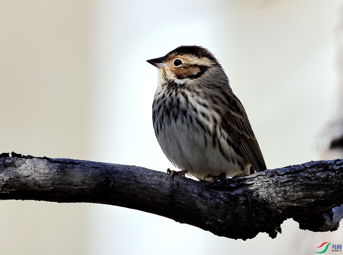 3A2572С�M-23.JPG