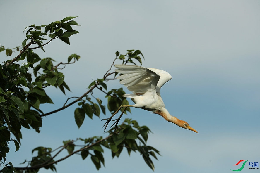 AQ1I3082_����_����1.jpg