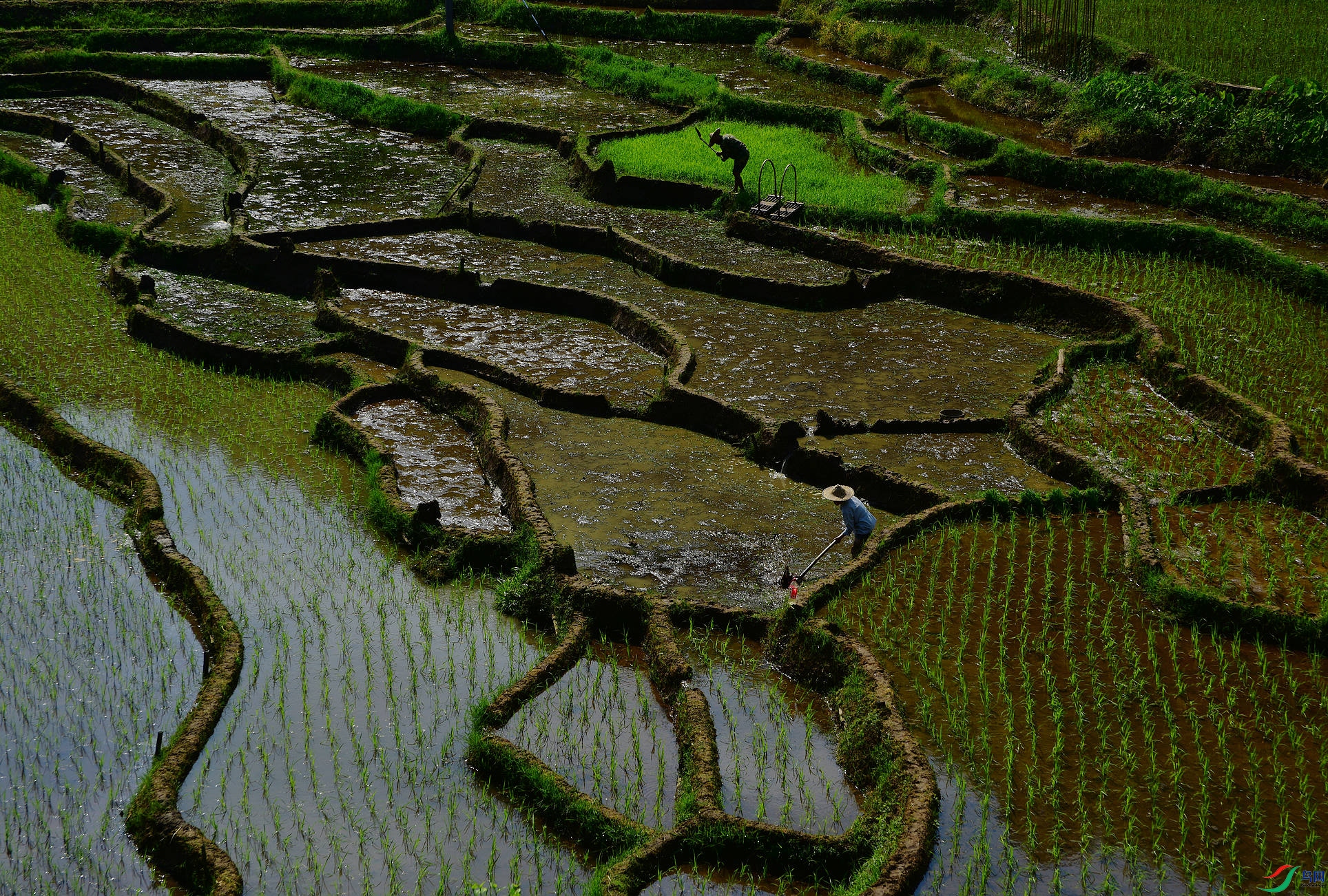 D8I_5582.jpg