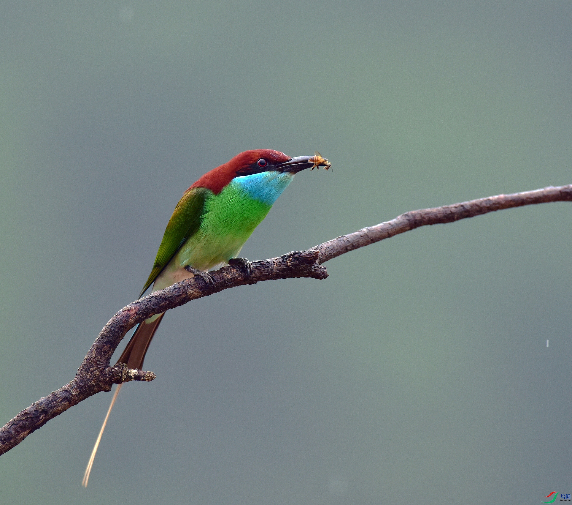 D8I_9164.jpg