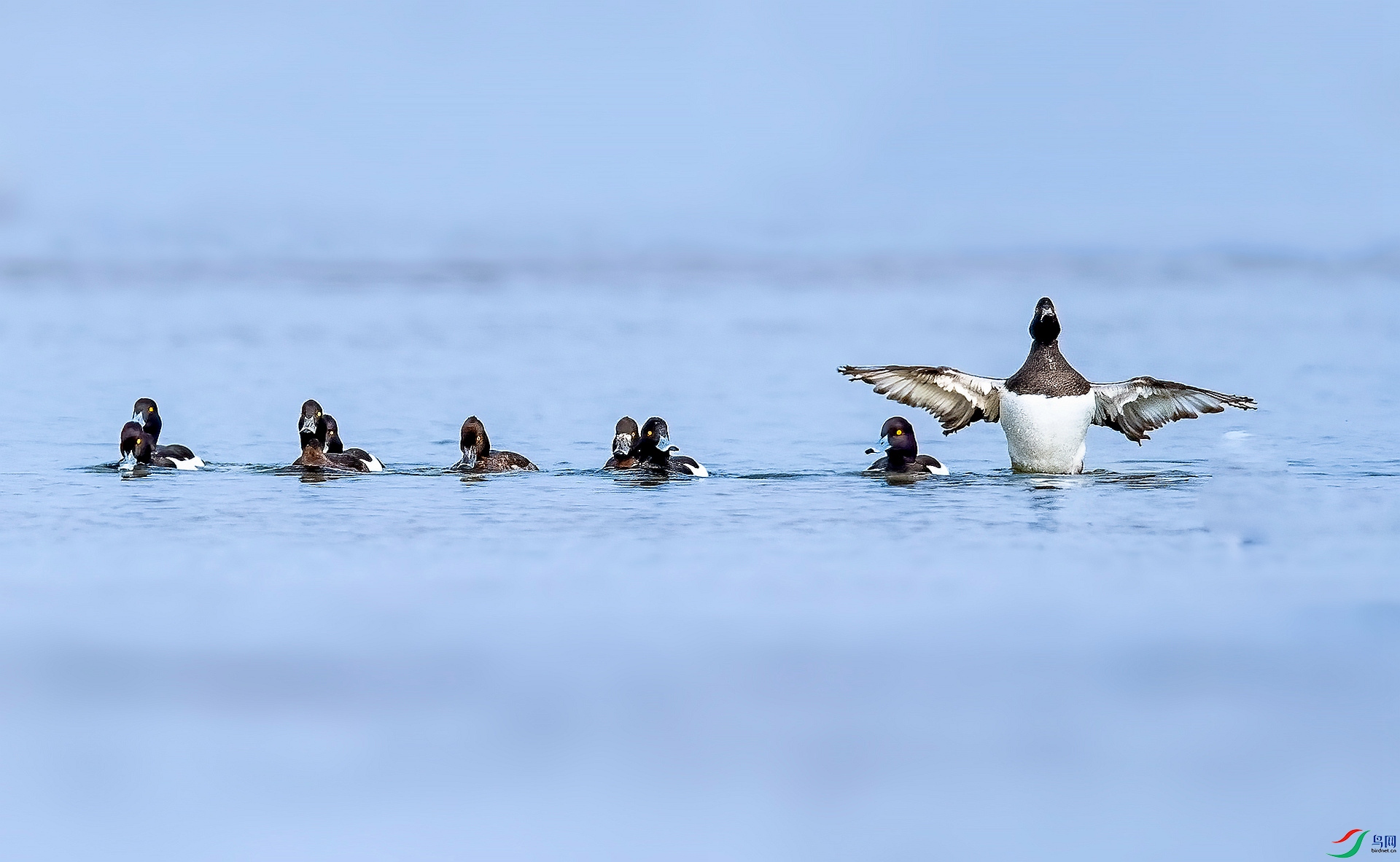 DSC_0394 ����_����.jpg