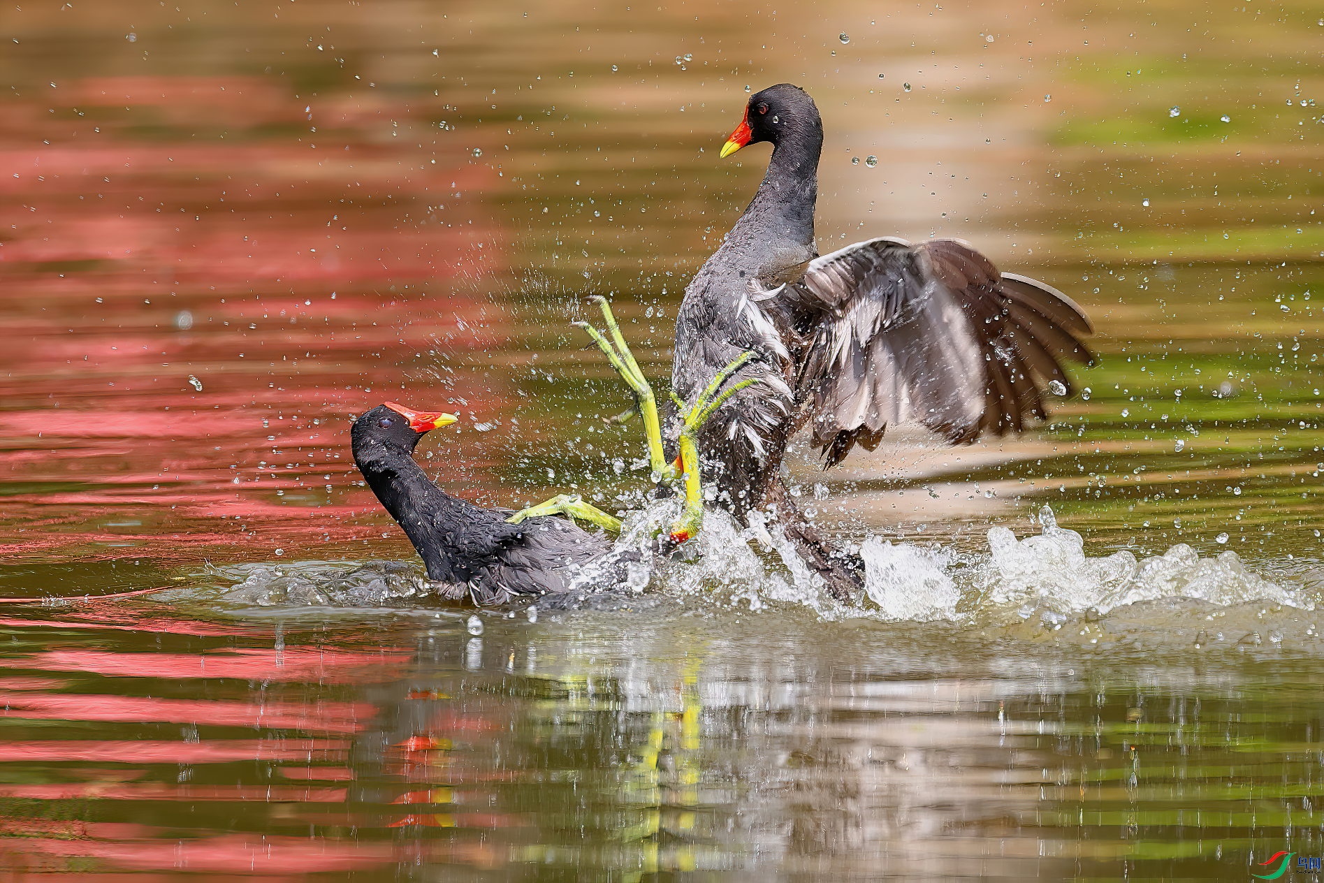 ��ˮ����ս