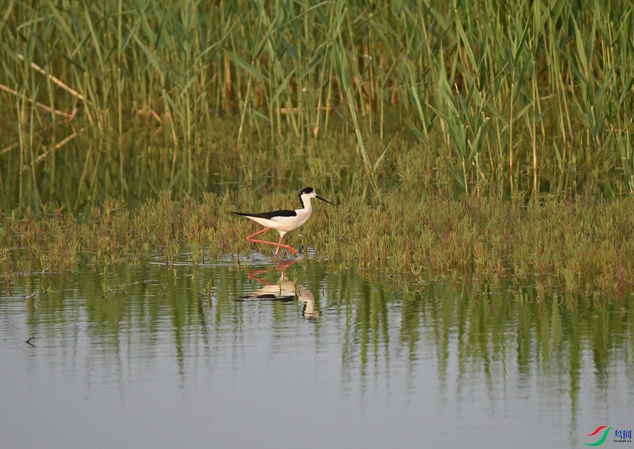 DSC_6803.jpg