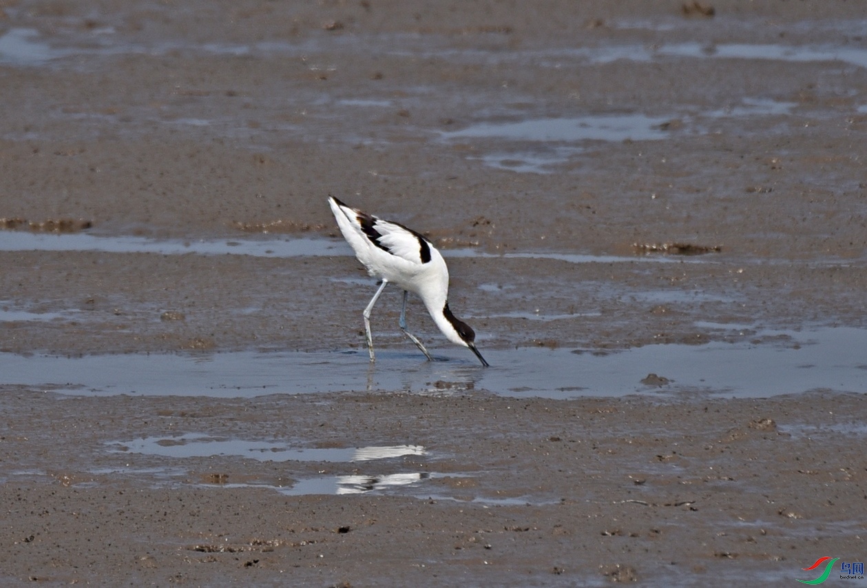 DSC_0644.jpg