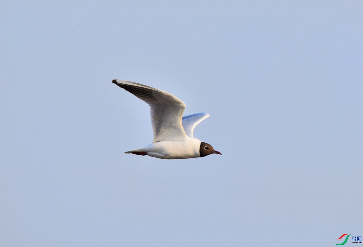 DSC_0400.jpg