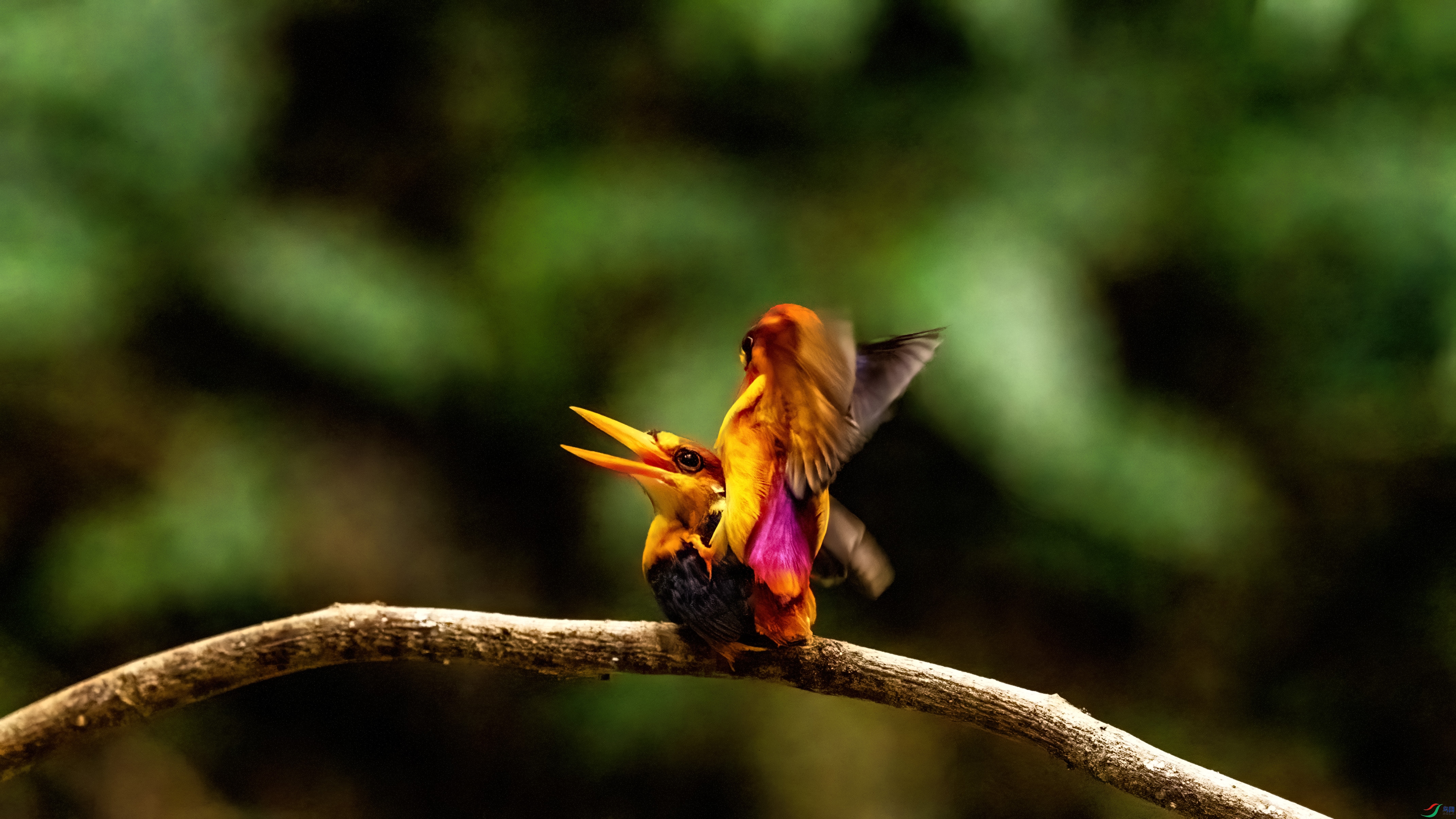 DSC06274-1.jpg