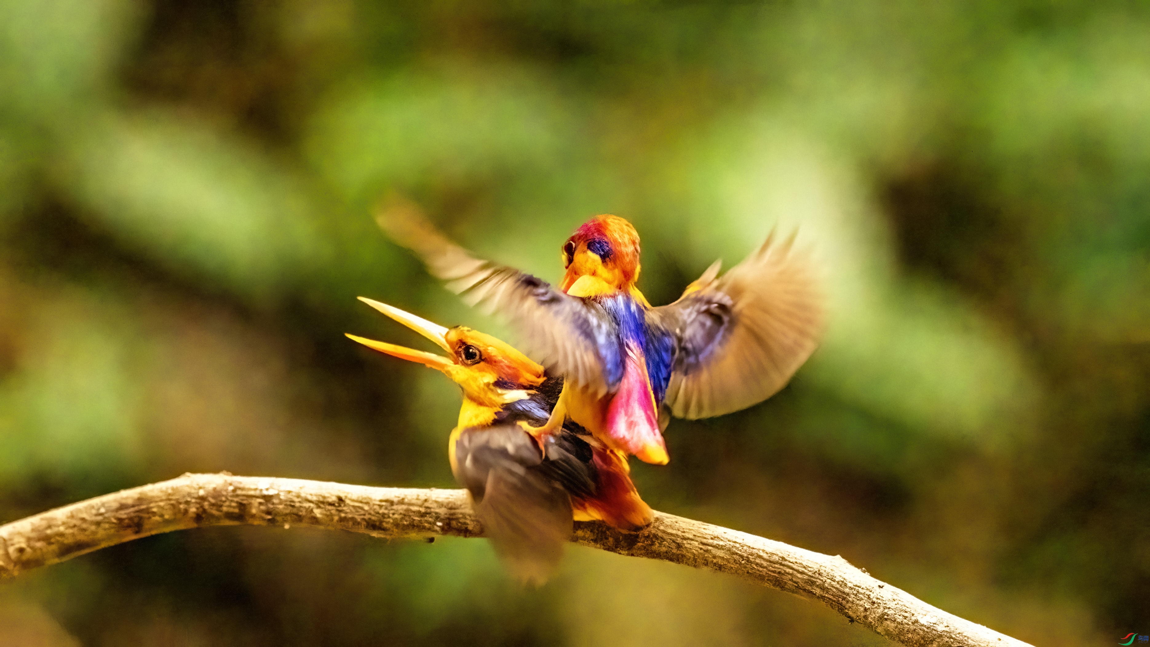 DSC06275-1.jpg