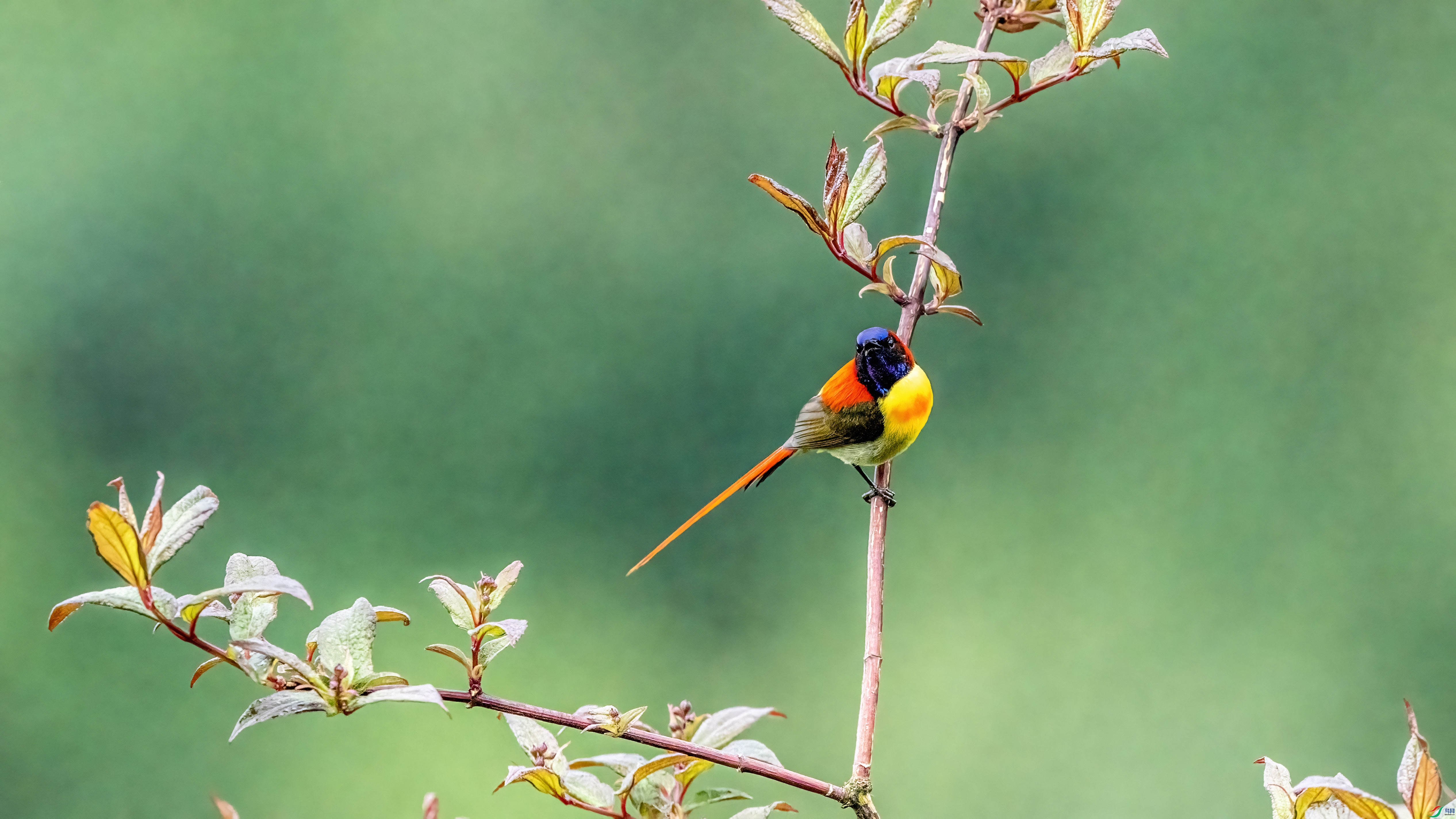 DSC04755-1.jpg