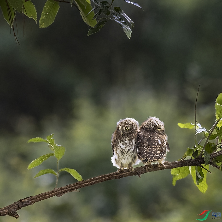 2F5A2193 ����.psd2 ����.psd22.jpg