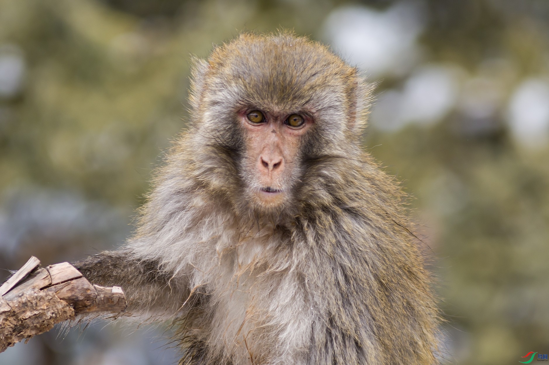 BP2A0382 ����_����.jpg