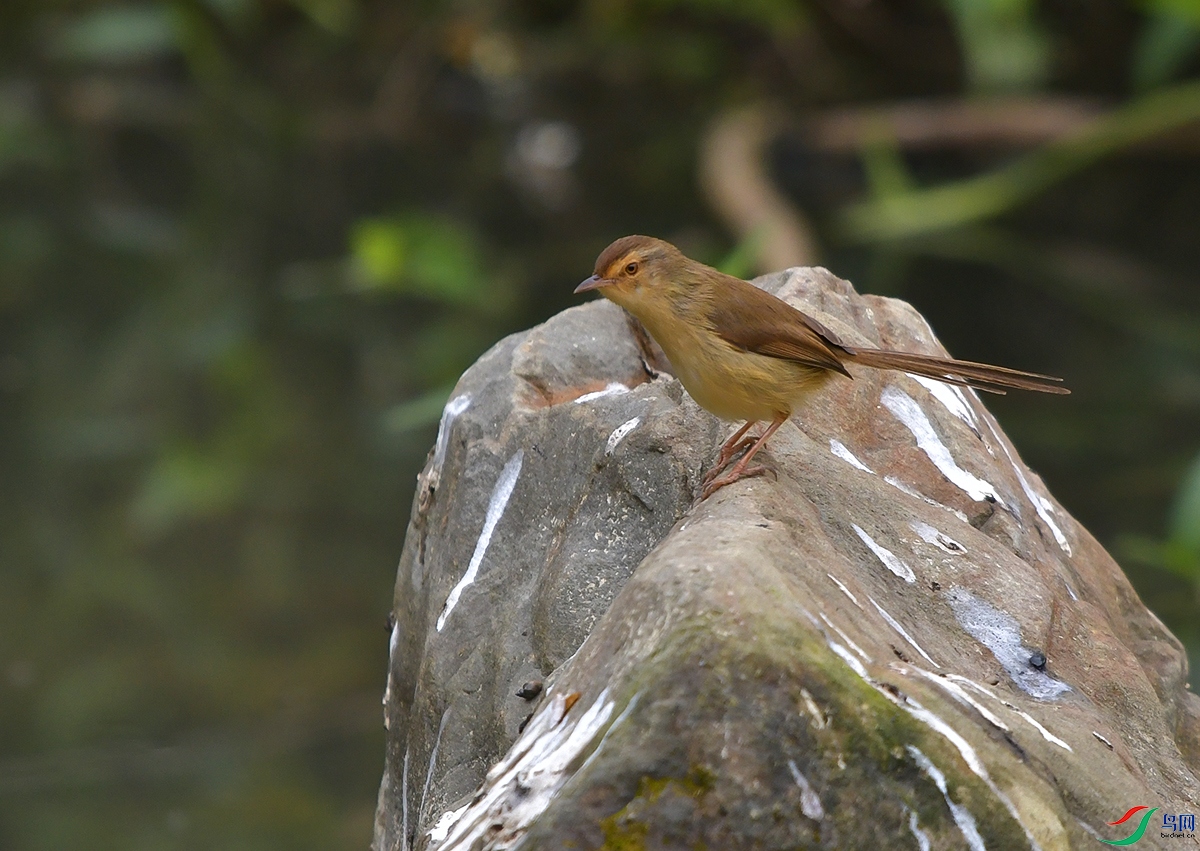DSC_4335.JPG