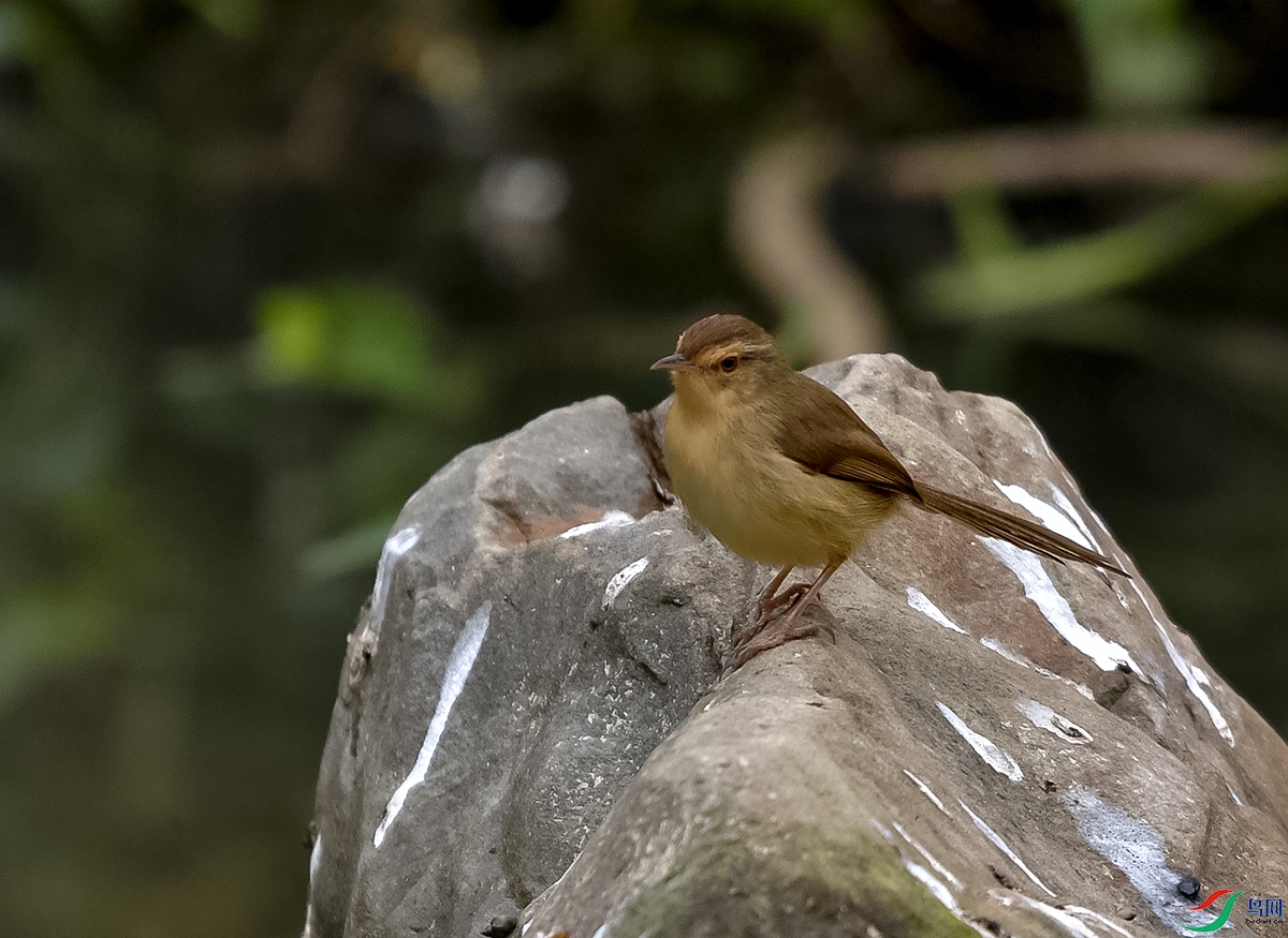 DSC_4338.JPG