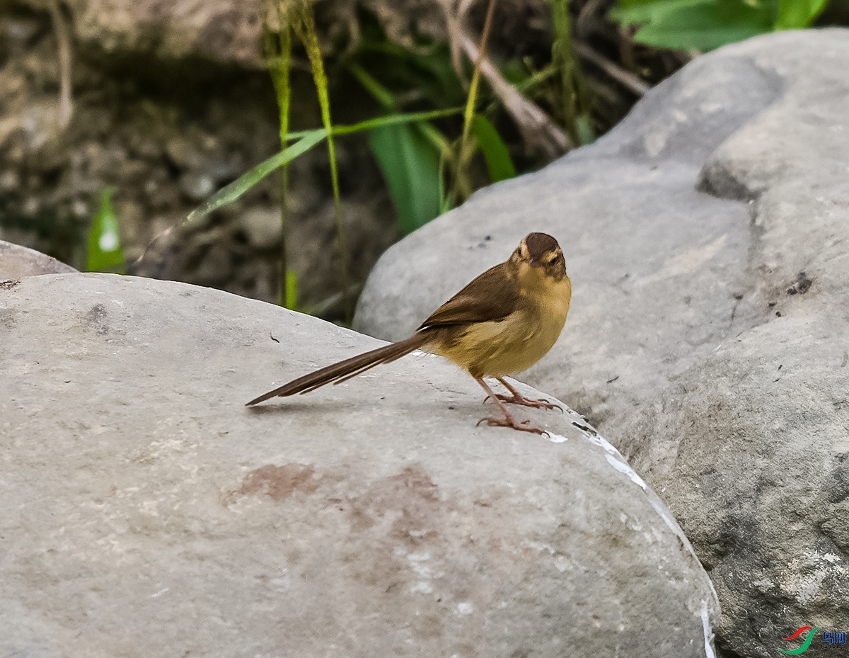 DSC_4364.JPG