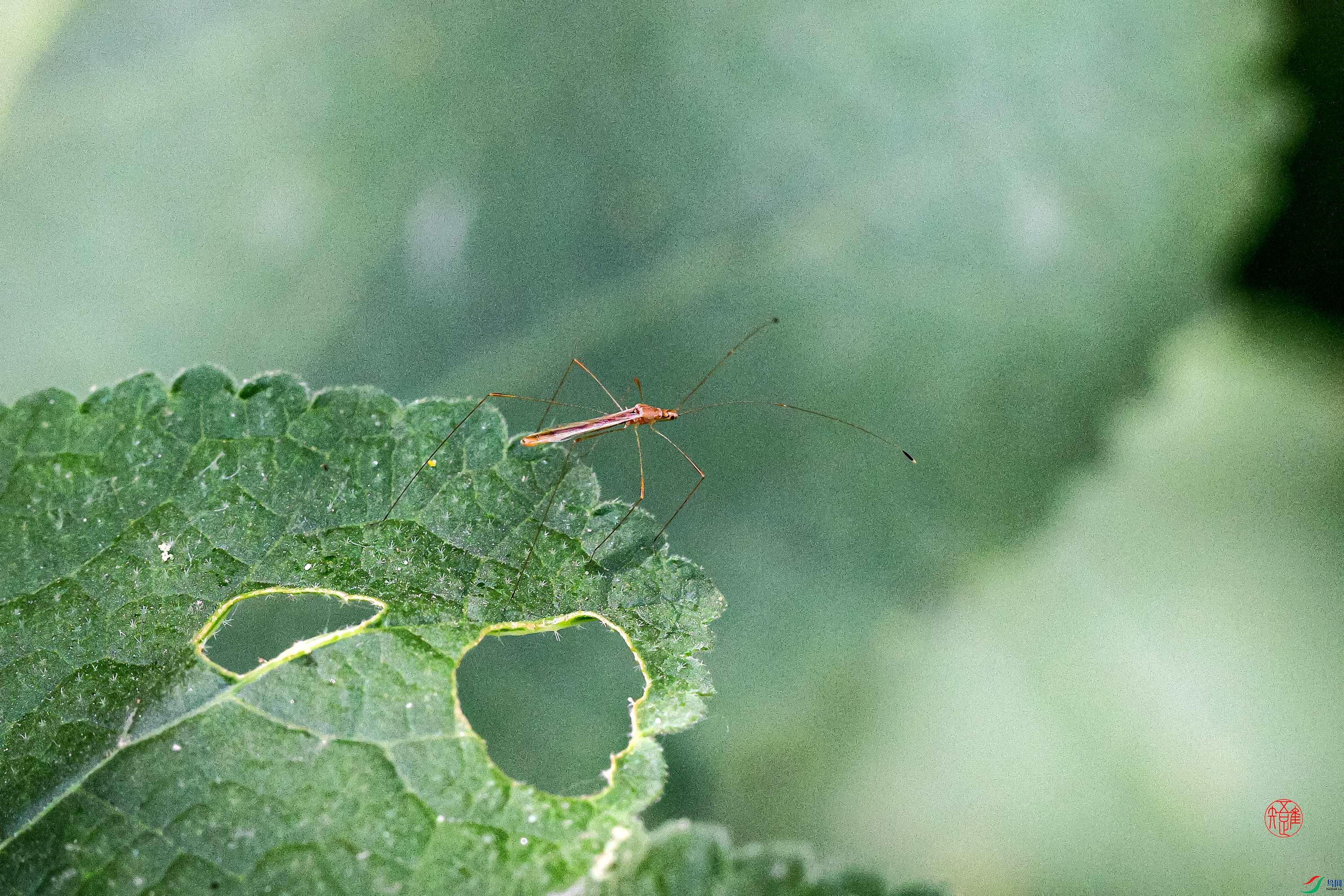 _23_4127x ����.jpg