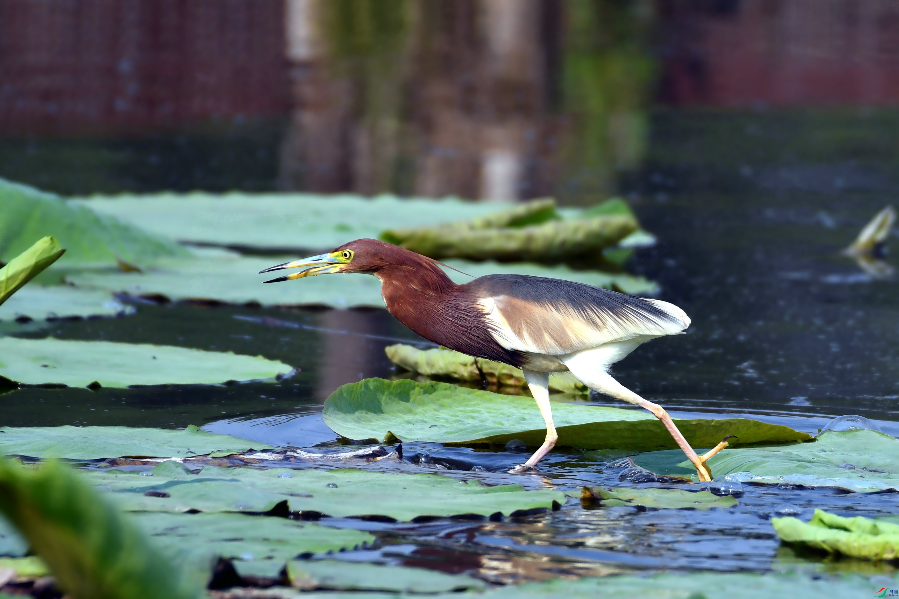 DSC_1891.JPG