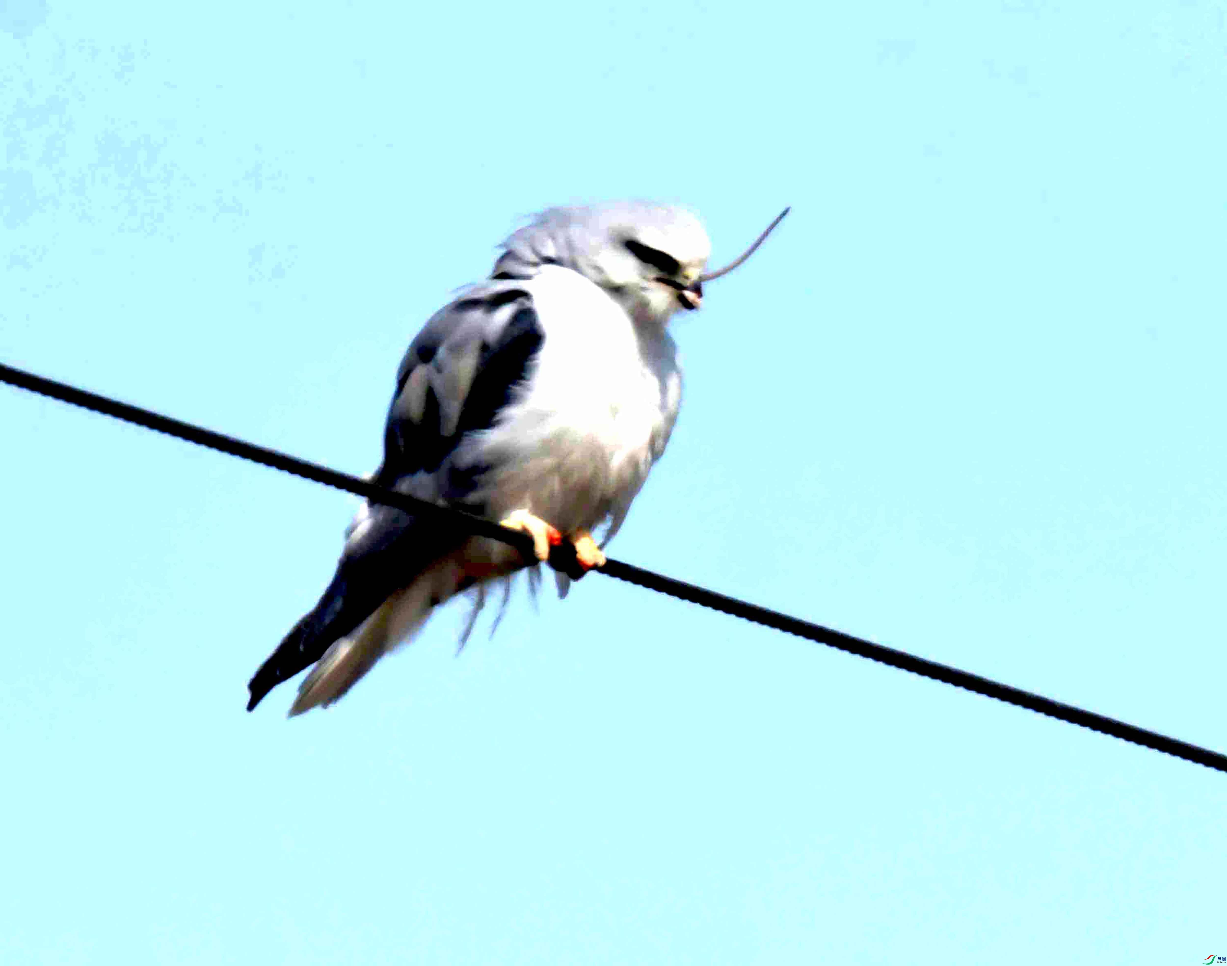 DSC_0015.JPG